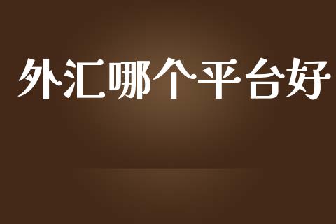 外汇哪个平台好_https://wap.lxcailiao.com_财务管理_第1张