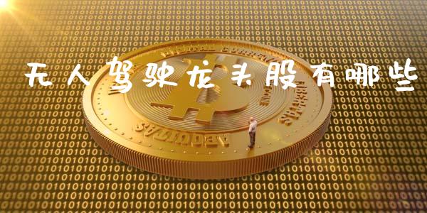 无人驾驶龙头股有哪些_https://wap.lxcailiao.com_融资担保_第1张