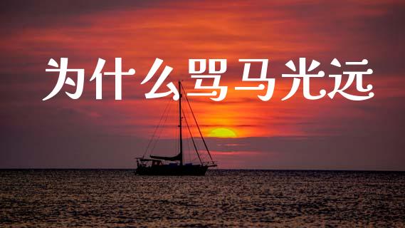 为什么骂马光远_https://wap.lxcailiao.com_融资担保_第1张