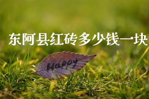 东阿县红砖多少钱一块_https://wap.lxcailiao.com_股权投资_第1张