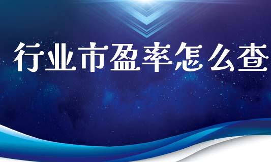 行业市盈率怎么查_https://wap.lxcailiao.com_金融监管_第1张
