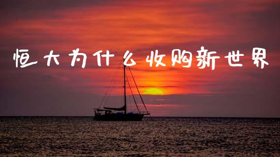 恒大为什么收购新世界_https://wap.lxcailiao.com_财务管理_第1张