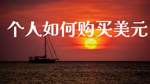 个人如何购买美元_https://wap.lxcailiao.com_财务管理_第1张