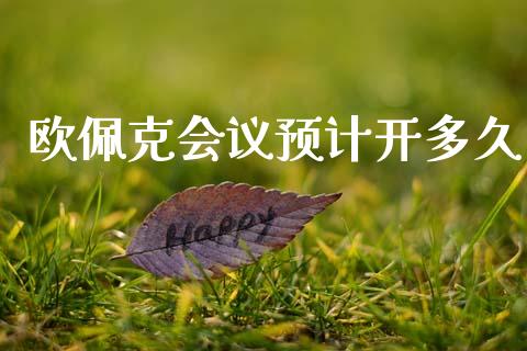 欧佩克会议预计开多久_https://wap.lxcailiao.com_财务管理_第1张