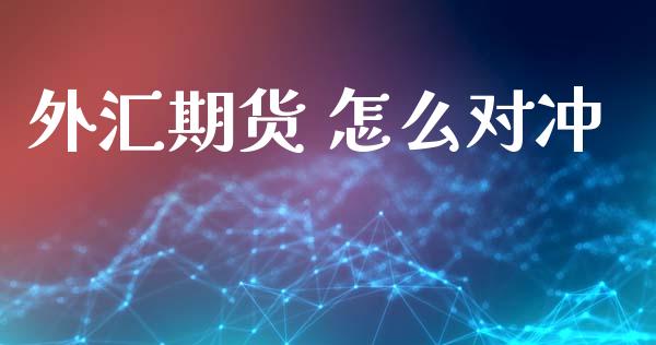 外汇期货 怎么对冲_https://wap.lxcailiao.com_金融监管_第1张