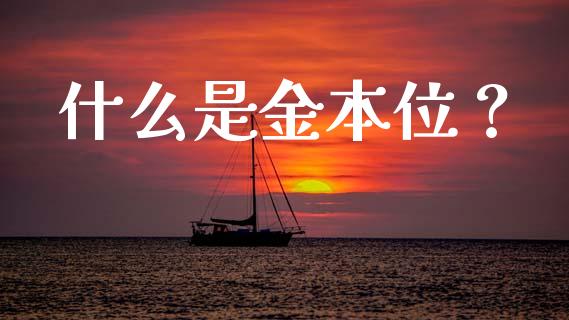 什么是金本位？_https://wap.lxcailiao.com_股权投资_第1张