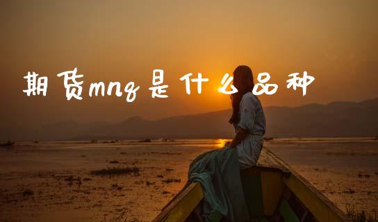 期货mnq是什么品种_融资担保_第1张_金融监管_融资担保_财务管理_股权投资 期货mnq是什么品种_https://wap.lxcailiao.com_融资担保_第1张