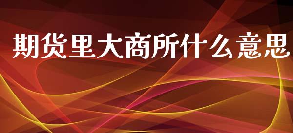 期货里大商所什么意思_https://wap.lxcailiao.com_股权投资_第1张