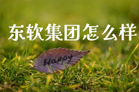 东软集团怎么样_https://wap.lxcailiao.com_股权投资_第1张