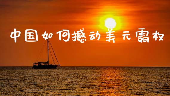 中国如何撼动美元霸权_https://wap.lxcailiao.com_股权投资_第1张