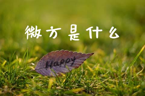 微方是什么_https://wap.lxcailiao.com_金融监管_第1张