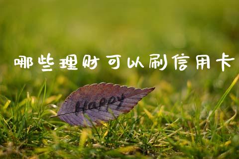 哪些理财可以刷信用卡_财务管理_第1张_金融监管_融资担保_财务管理_股权投资 哪些理财可以刷信用卡_https://wap.lxcailiao.com_财务管理_第1张