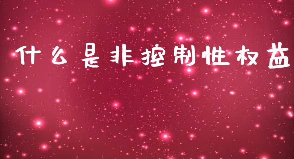 什么是非控制性权益_https://wap.lxcailiao.com_金融监管_第1张