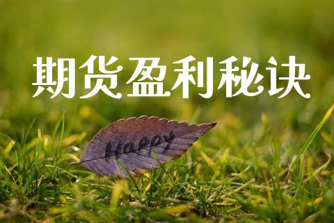 期货盈利秘诀_https://wap.lxcailiao.com_金融监管_第1张