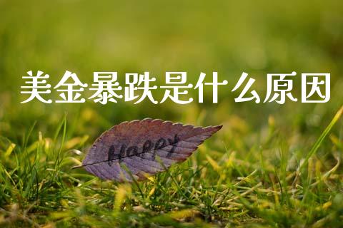 美金暴跌是什么原因_https://wap.lxcailiao.com_融资担保_第1张