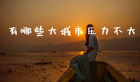 有哪些大城市压力不大_https://wap.lxcailiao.com_融资担保_第1张