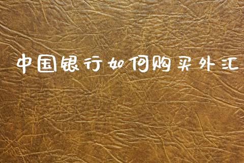 中国银行如何购买外汇_https://wap.lxcailiao.com_股权投资_第1张