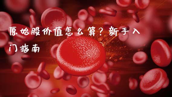 原始股价值怎么算？新手入门指南_https://wap.lxcailiao.com_财务管理_第1张