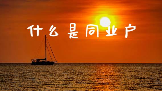 什么是同业户_https://wap.lxcailiao.com_股权投资_第1张