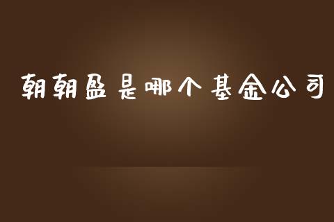 朝朝盈是哪个基金公司_https://wap.lxcailiao.com_财务管理_第1张