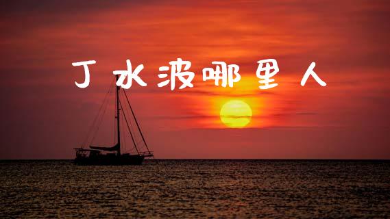 丁水波哪里人_https://wap.lxcailiao.com_融资担保_第1张