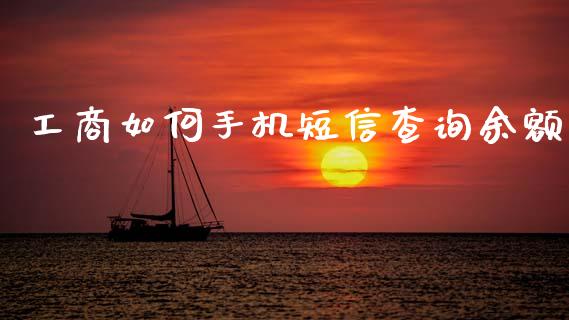 工商如何手机短信查询余额_财务管理_第1张_金融监管_融资担保_财务管理_股权投资 工商如何手机短信查询余额_https://wap.lxcailiao.com_财务管理_第1张