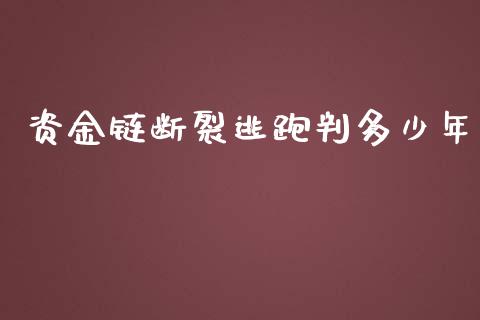 资金链断裂逃跑判多少年_https://wap.lxcailiao.com_财务管理_第1张