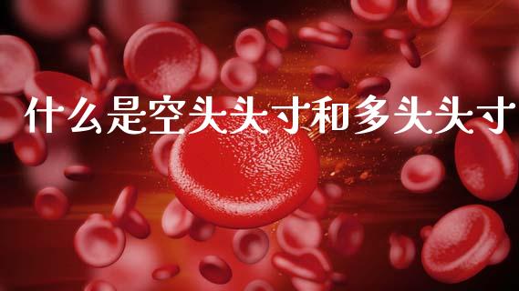 什么是空头头寸和多头头寸_https://wap.lxcailiao.com_股权投资_第1张