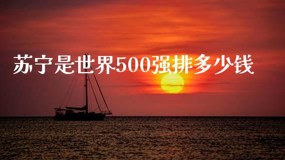 苏宁是世界500强排多少钱_https://wap.lxcailiao.com_金融监管_第1张