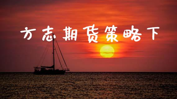 方志期货策略下_https://wap.lxcailiao.com_财务管理_第1张