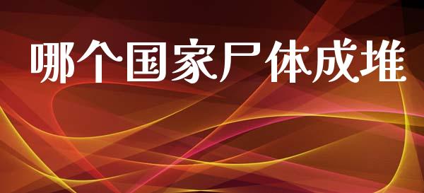 哪个国家尸体成堆_https://wap.lxcailiao.com_金融监管_第1张