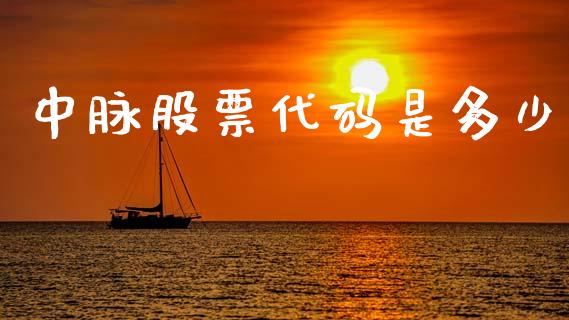 中脉股票代码是多少_https://wap.lxcailiao.com_融资担保_第1张