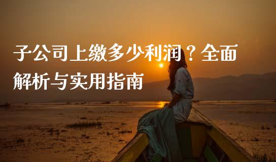 子公司上缴多少利润？全面解析与实用指南_https://wap.lxcailiao.com_金融监管_第1张
