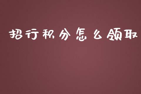 招行积分怎么领取_https://wap.lxcailiao.com_股权投资_第1张
