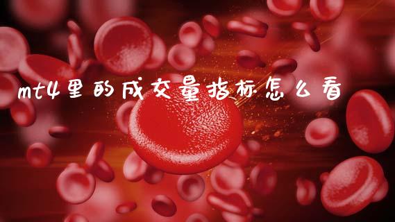 mt4里的成交量指标怎么看_https://wap.lxcailiao.com_金融监管_第1张