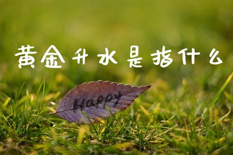黄金升水是指什么_https://wap.lxcailiao.com_金融监管_第1张