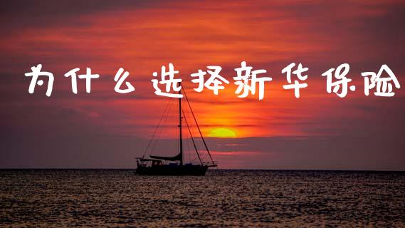为什么选择新华保险_https://wap.lxcailiao.com_融资担保_第1张