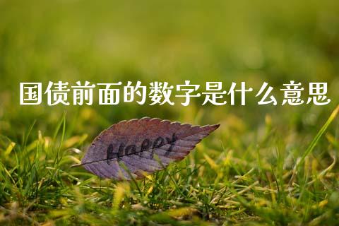 国债前面的数字是什么意思_https://wap.lxcailiao.com_股权投资_第1张