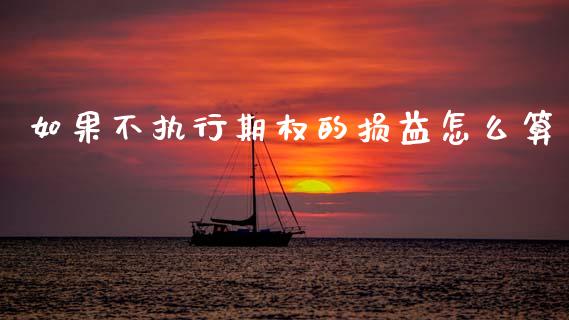 如果不执行期权的损益怎么算_https://wap.lxcailiao.com_融资担保_第1张
