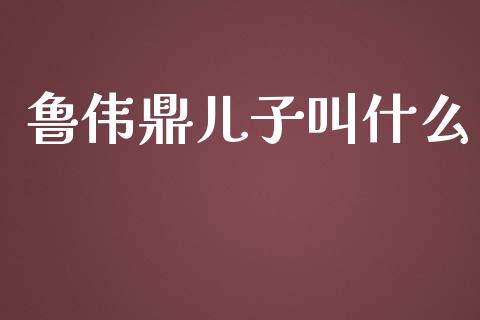 鲁伟鼎儿子叫什么_https://wap.lxcailiao.com_股权投资_第1张