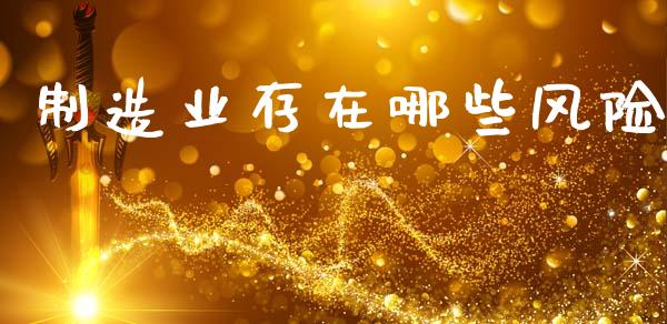 制造业存在哪些风险_https://wap.lxcailiao.com_财务管理_第1张