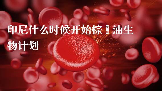 印尼什么时候开始棕榈油生物计划_https://wap.lxcailiao.com_财务管理_第1张