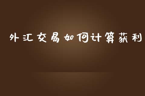 外汇交易如何计算获利_https://wap.lxcailiao.com_融资担保_第1张