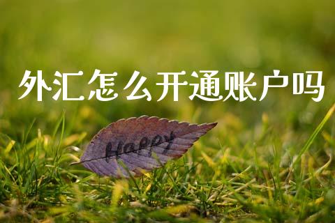 外汇怎么开通账户吗_https://wap.lxcailiao.com_股权投资_第1张