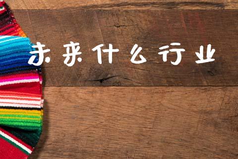 未来什么行业_https://wap.lxcailiao.com_金融监管_第1张