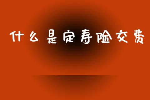 什么是定寿险交费_https://wap.lxcailiao.com_融资担保_第1张