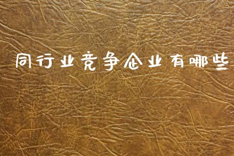 同行业竞争企业有哪些_https://wap.lxcailiao.com_股权投资_第1张