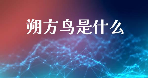 朔方鸟是什么_https://wap.lxcailiao.com_融资担保_第1张