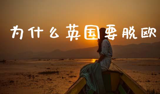 为什么英国要脱欧_https://wap.lxcailiao.com_融资担保_第1张