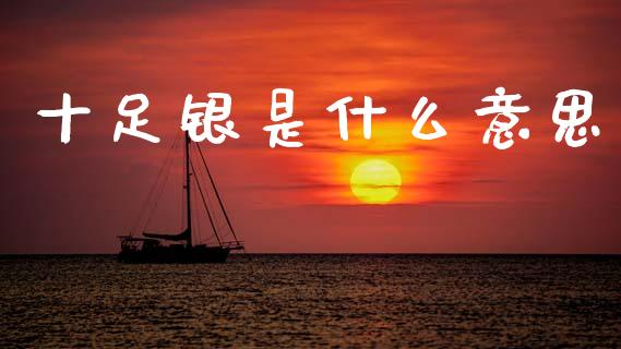 十足银是什么意思_https://wap.lxcailiao.com_股权投资_第1张